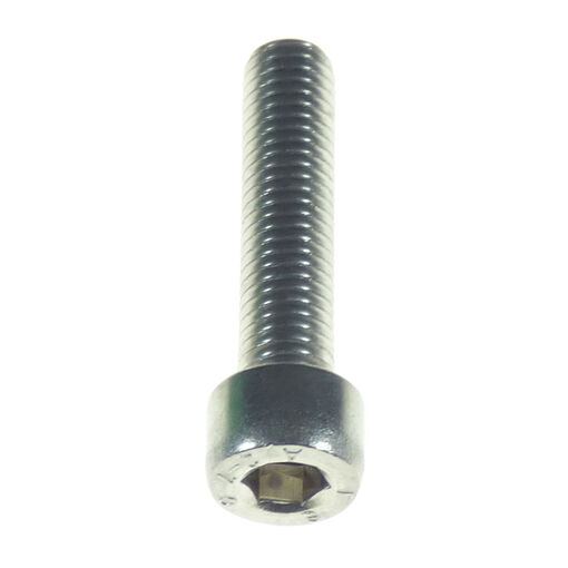 Torqeedo Screw M8x35