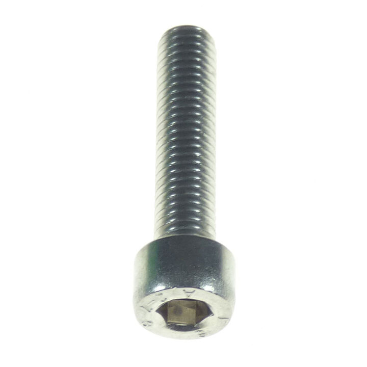Torqeedo Screw M8x35